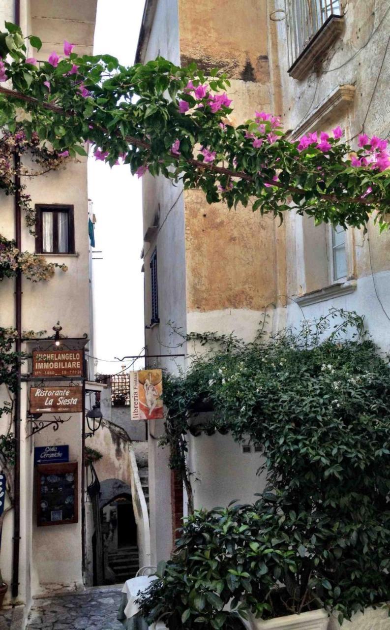 Casa Ninfa Sperlongaresort 외부 사진